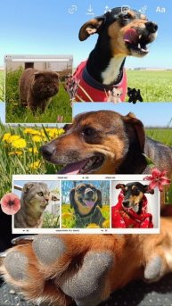 Мои любимые💕