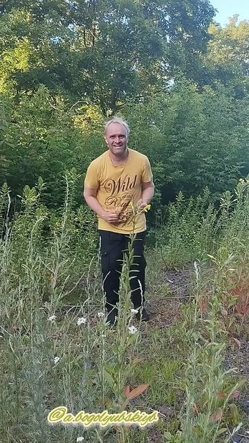 Эх гармошечка родная! Потанцуль на природе