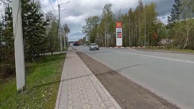 Прогуляемся до дождика  Walking in the forest