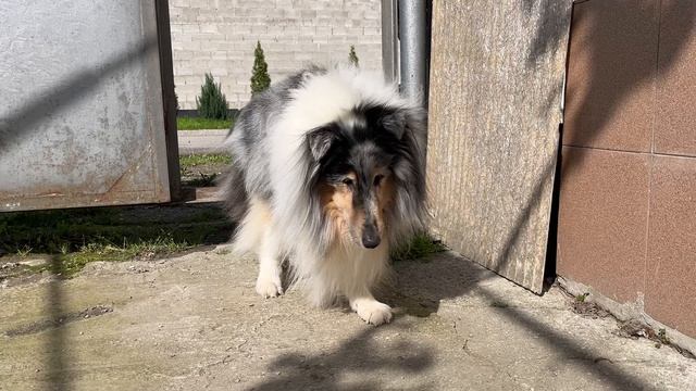 16.05.25 Кристоль барьер