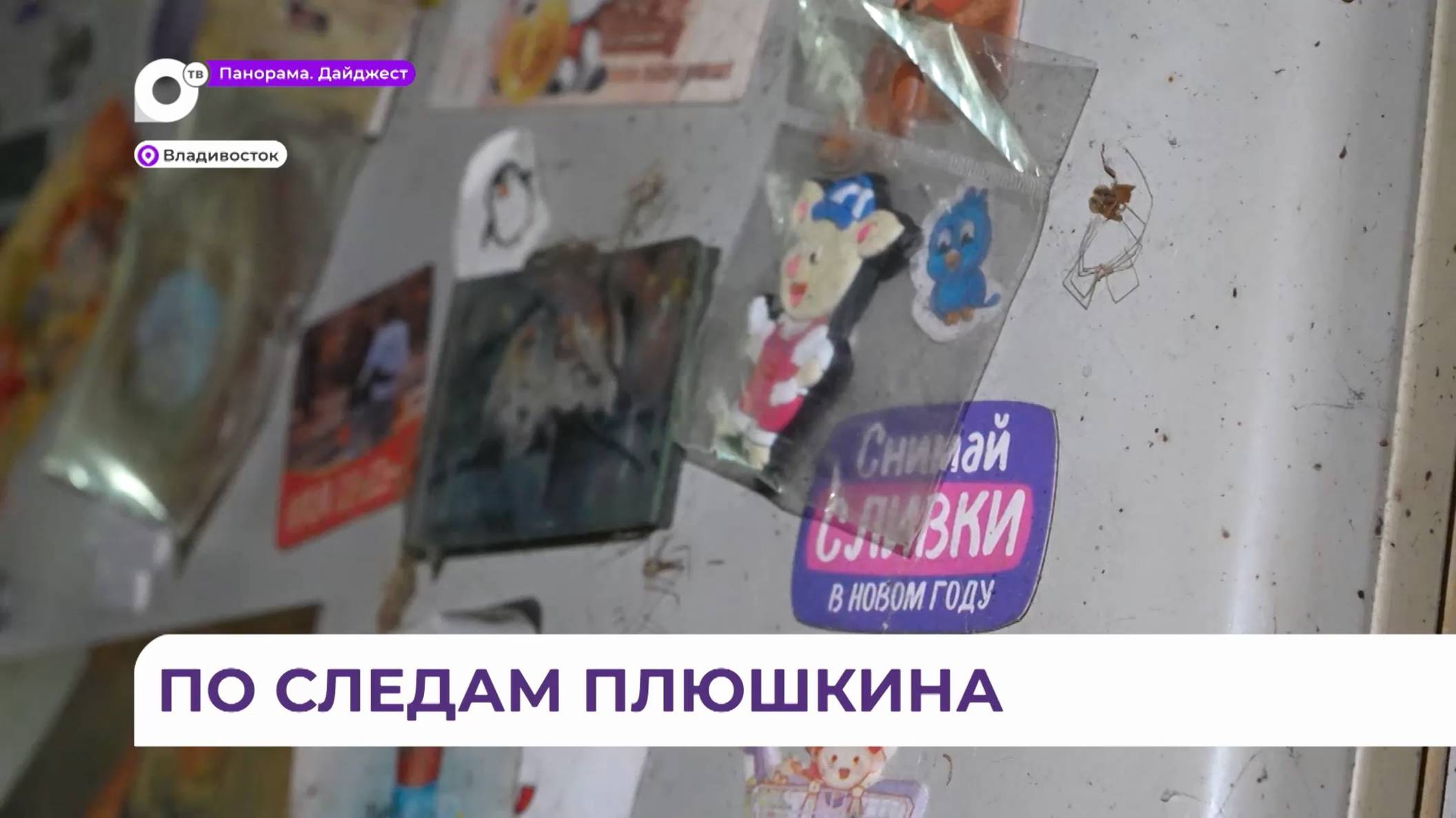 Во Владивостоке «Плюшкин в юбке» терроризирует соседей