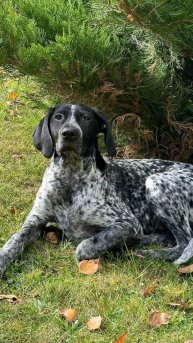 Мажор (он же Жора).