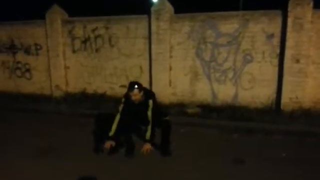 Тигр Лев на петре