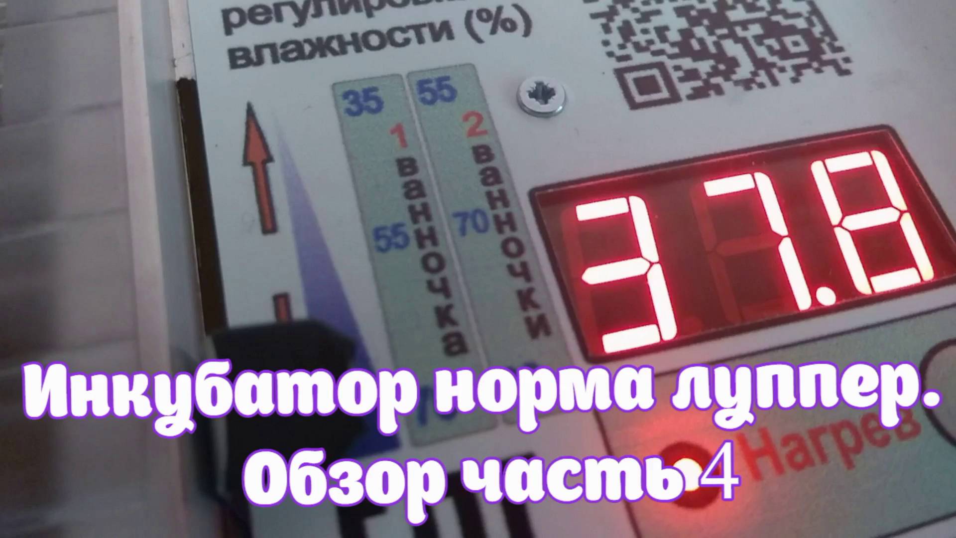 Инкубатор Норма Луппер. Обзор часть 4