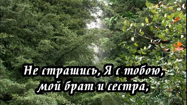 Ксения Лапицкая - Я с тобою(-)
