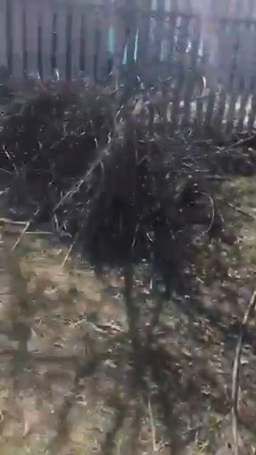Обшивка дома имитацией бруса. Начало
