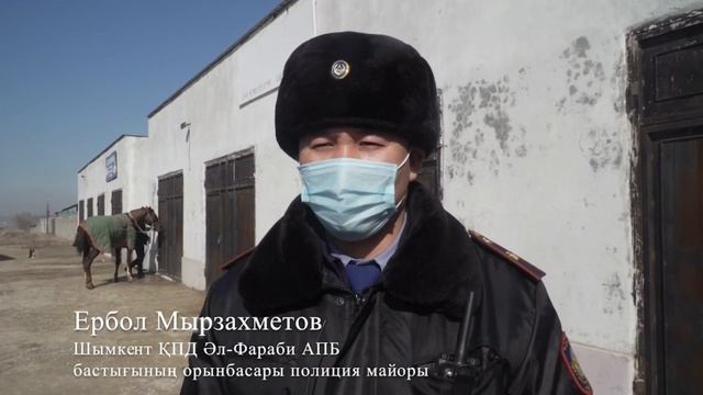 Кокпар на 400 человек остановили в Шымкенте