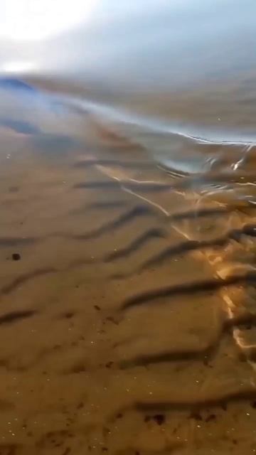 Солнечное утро