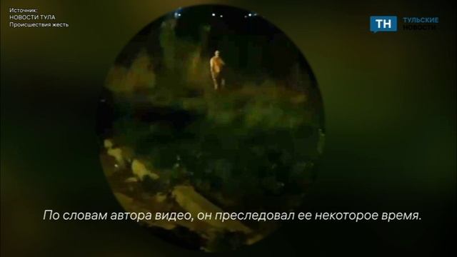 В Туле голый мужчина преследовал девушку в районе Левобережного