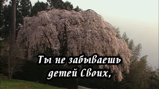 Ксения Лапицкая - Бог любви(-)