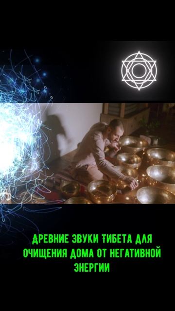 тибет шортц