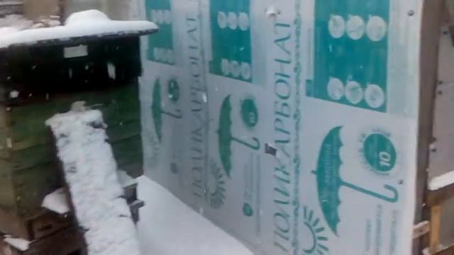 Неожиданно пришла зима!Снег метёт!