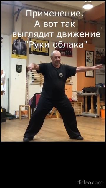 #shorts  #Тайцзицюань #taichi #wushu  Форма "Руки облака". Прикладной аспект.