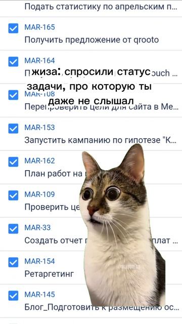 жиза: когда спросили статус задачи, про которое ты не слышал