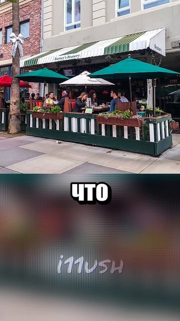 Где мы никогда не были?