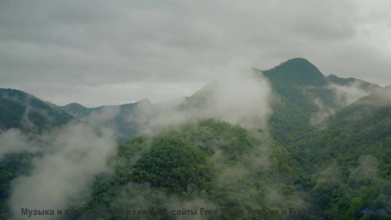 Когда ритм бьёт в такт вашему сердцу - это магия! - Picture Perfect People -- PLANET WARDO -- PLANET