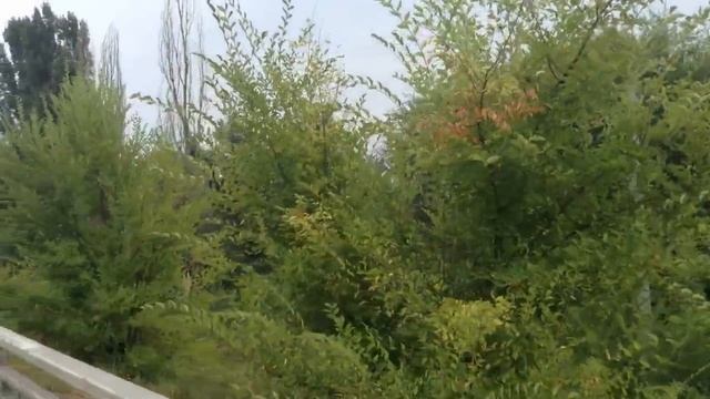 СТАВРОПОЛЬСКИЙ кр.Г.Невинномысск.Трагедия автодорожного моста. Что было в 2002 году