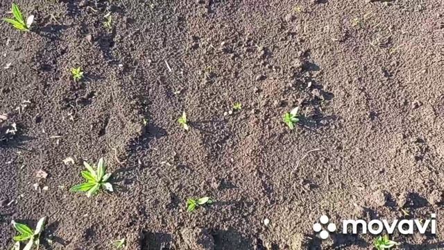 17-02-2025деревенская жизнь