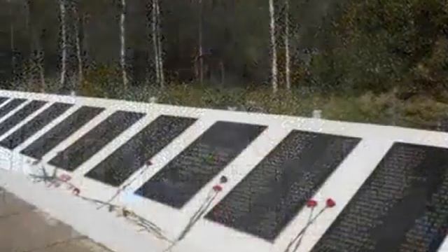 Над Брянским лесом