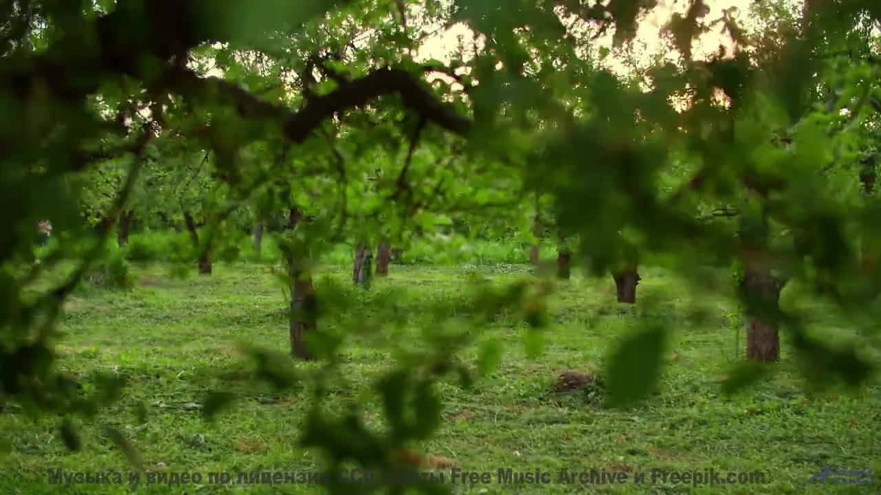 Он затронет струны души, о которых ты даже не подозревал! - Blossom -- Ketsa -- The Calling