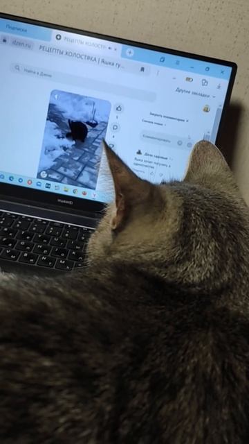 Барса Яшке ставит лайк