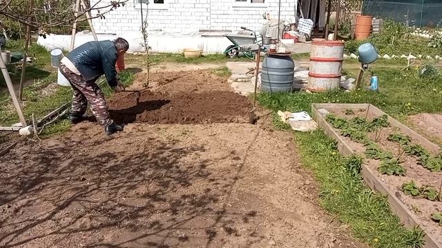 Сад огород посадка картошки,свеклы