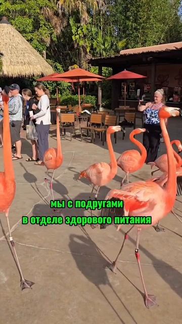 мы с подругой