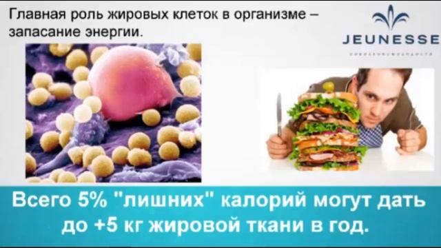 ZEN bodi. Коррекция веса и тела с системой ЗЕН БОДИ. Часть 1