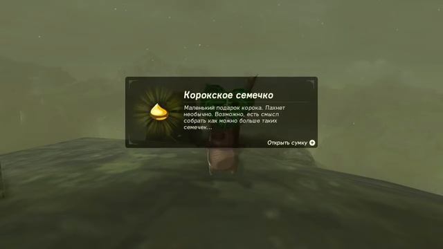 Святилище Шиве Ниро. The Legend of Zelda:Breath of the Wild #186.