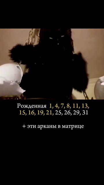Кошечка с коготками ⬛ #матрицасудьбы #нумерология #девушка #юмор #таро #числа