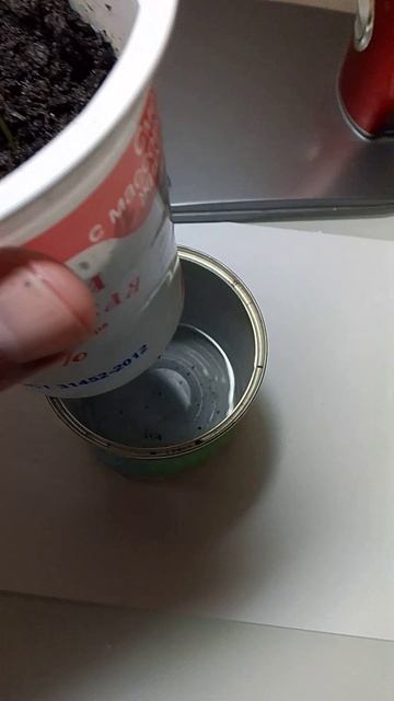 Совет по выращиванию рассады!
