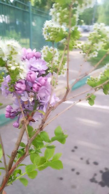 ИНОГДА, ПРИЯТНО ПОБЫТЬ "ИДИОТОМ"! 🤪😎ДЕВУШКИ- Я СКАЗАЛ ИНОГДА!!! 😎✊СЕГОДНЯ В ВАННОЙ, РЕМОНТИРУЮ К