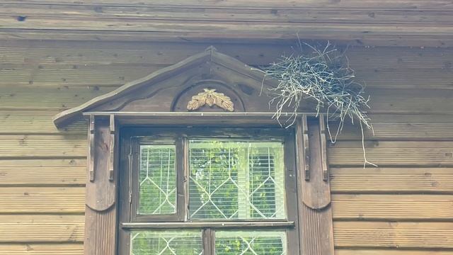 Музей Козельские засеки 16-05-2025