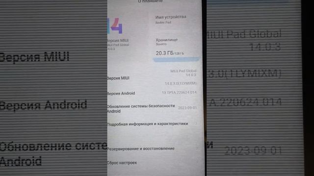 24 октября 2023 г.