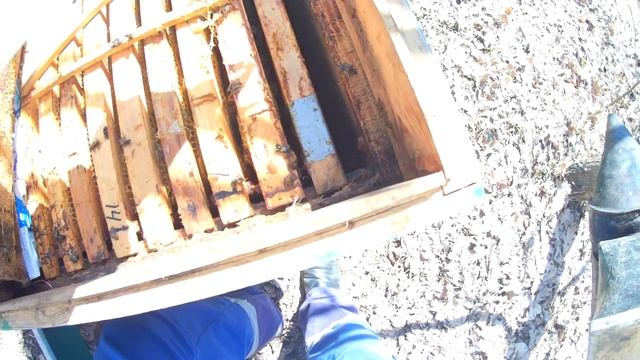 🐝Для развития в любую погоду🍯