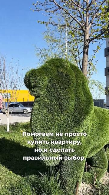 АН ФРЕГАТ Новороссийск