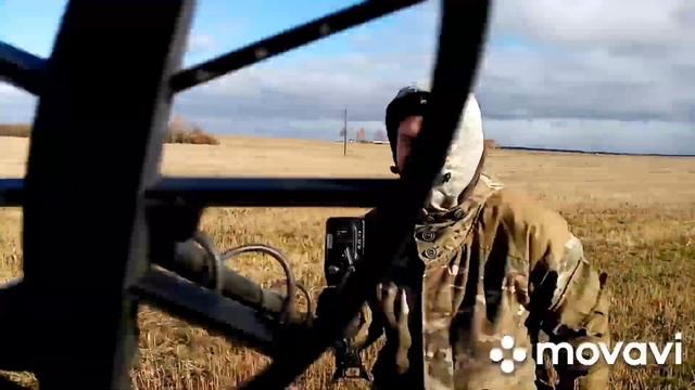 Копатели! в поисках монет! кладоискатели. коп монет . камрады .  #treasure_hunting #coin_search