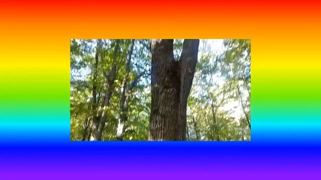 Доброго вам дня и хорошего настроения, дорогие друзья