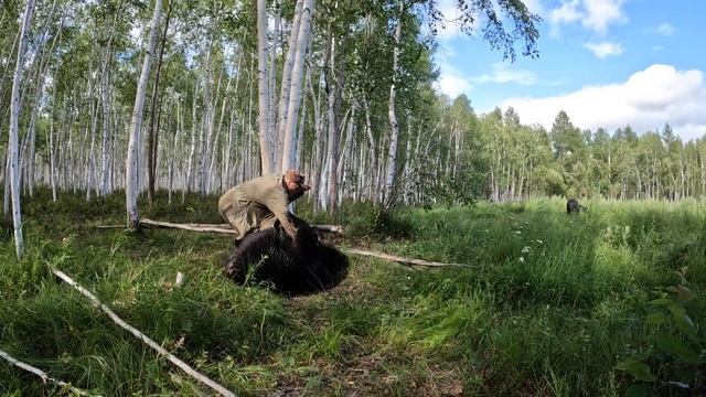 Буржуй не желает быть конём. Медведь.