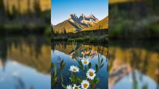 қос жынысты адамның бастан кешкендері 4 ші бөлім