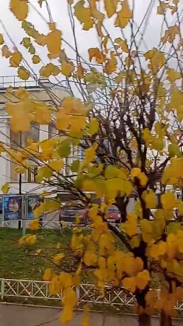Казань столица республики Татарстан обзорная экскурсия путешествия Россия travel travelling Russia