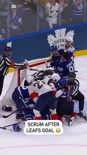 Absolute Mayhem After The Leafs Finally Score