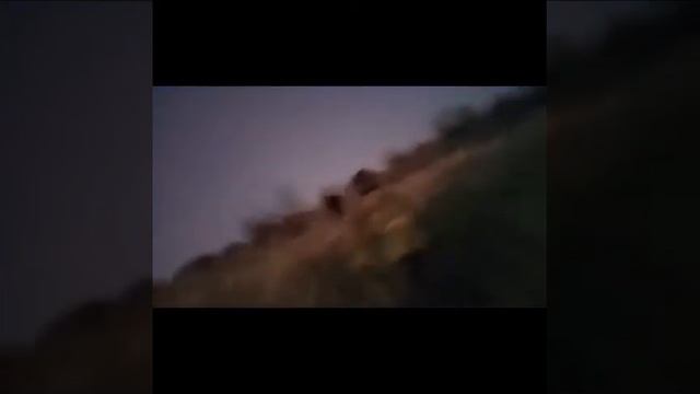 Катаюсь на лошади