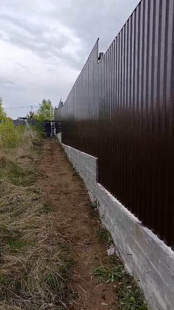 1000488598.mp4