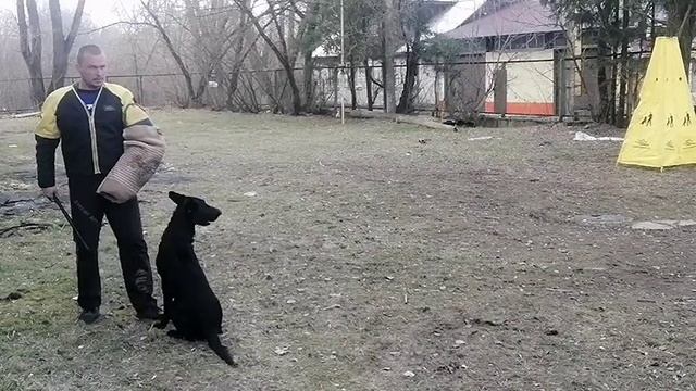 Байлих Докрейда. Сдача пожизненного кёрунга.