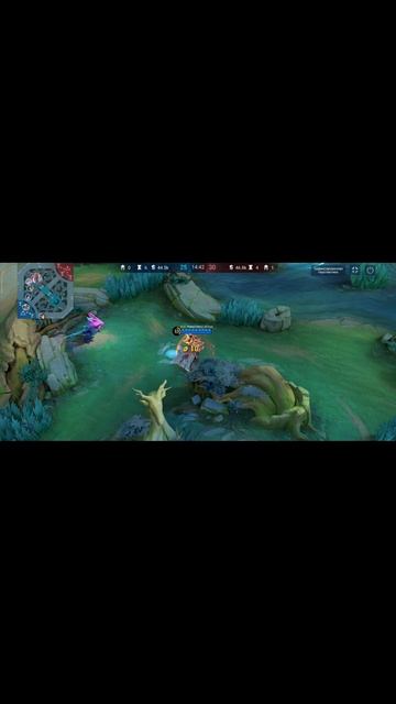 Тигрил -5.mp4