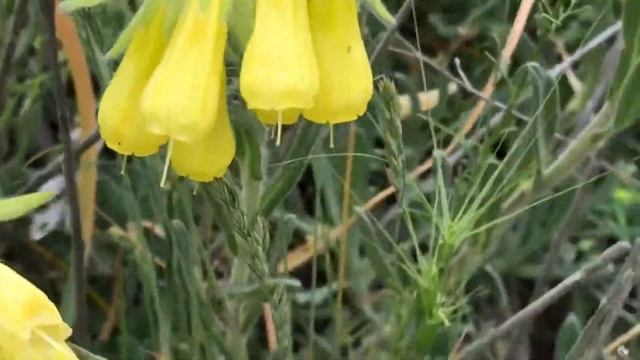 Майские воспоминания о Крыме/Южная Балка и квадрацикл