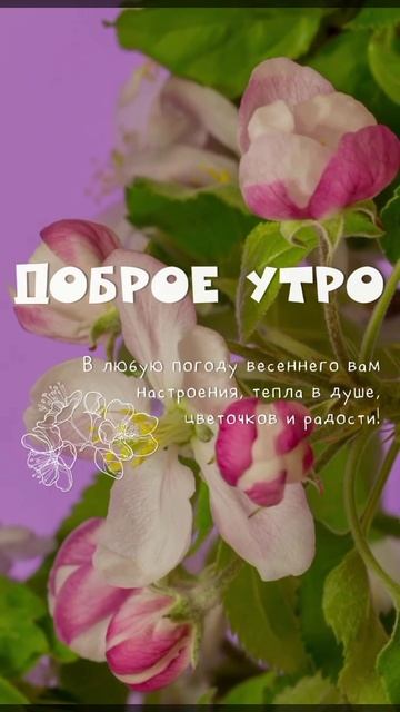Доброе утро.