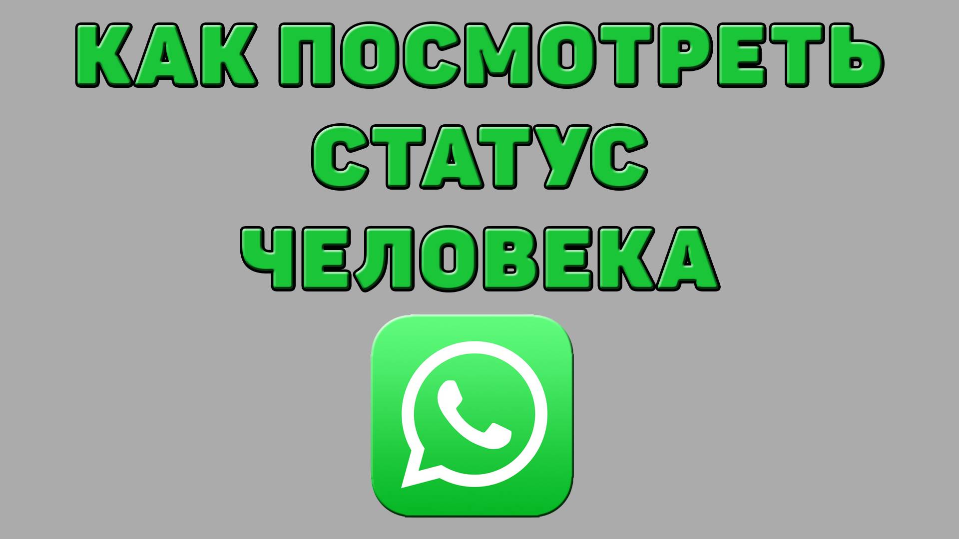 Как посмотреть статус человека в Ватсапе