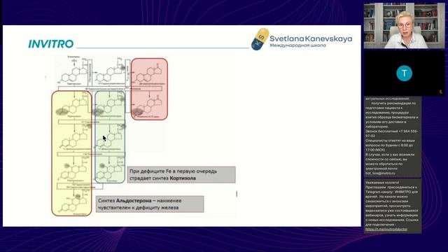 Гормональный статус его роль в сохранении здоровья. Диагностика и алгоритмы ведения пациентов
